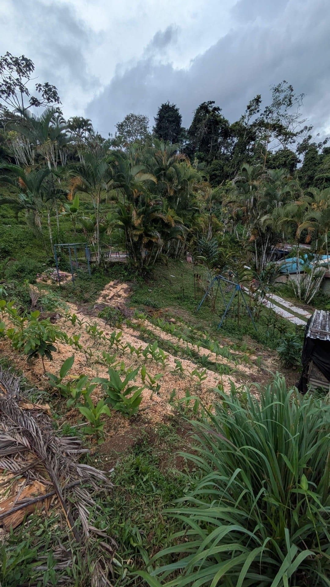 Santa Ana, Costa Rica