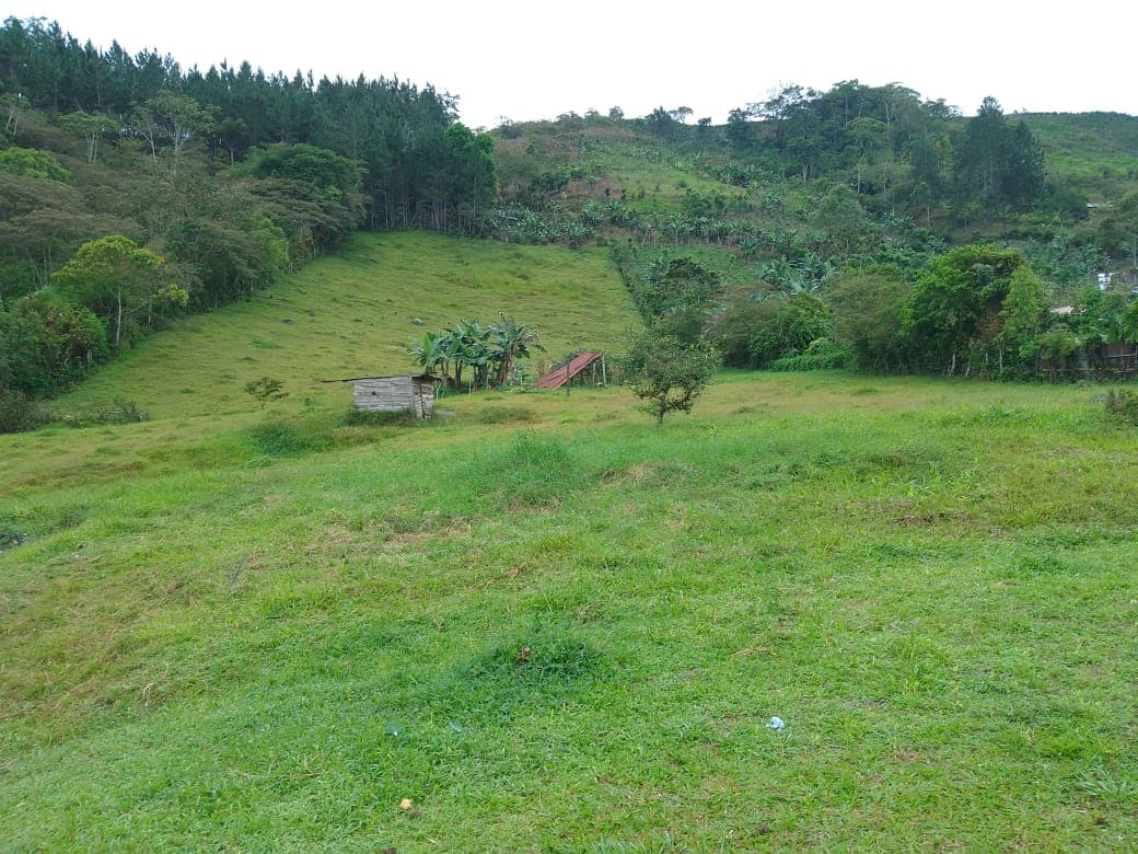 land in Turrialba, Cartago